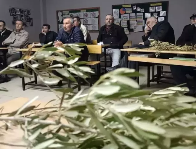 Sarıgöl'de Zeytin Bakımı ve Budama Kursu Açıldı