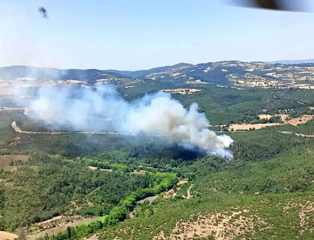 Balıkesir'deki Ormanda Yangına Havadan ve Karadan Müdahale