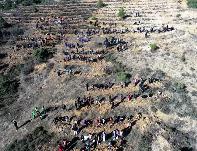 Binlerce fidan toprakla buluştu