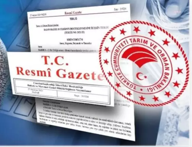 Son dakika haber | DSİ Türkiye Genelinde 42 Arazi İçin Toplulaştırma Kararı Verdi