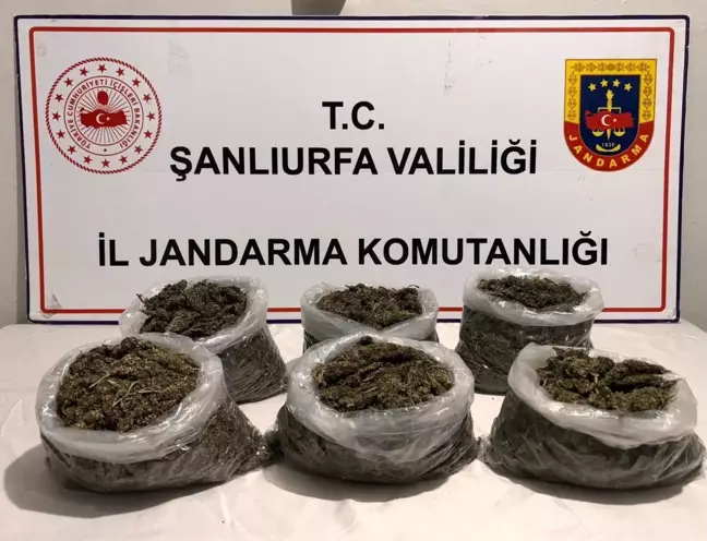 Şanlıurfa'da Eş Zamanlı Uyuşturucu Operasyonu: 16 Gözaltı