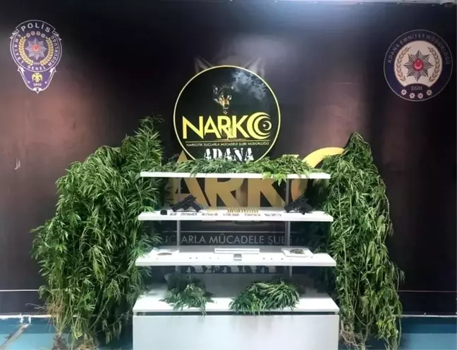 Uyuşturucu operasyonunda 12 zanlı yakalandı