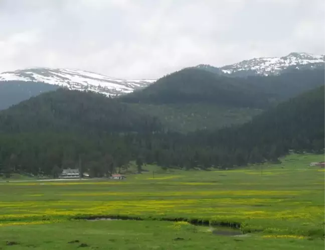 Bolu Haritada nerede, İstanbul'a yakın mı? Bolu Kızılağıl köyü nerede?