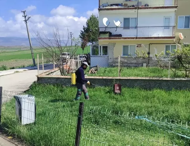 Güdül'de Haşereyle Mücadele ve Çöp Alanında Düzenleme Çalışmaları