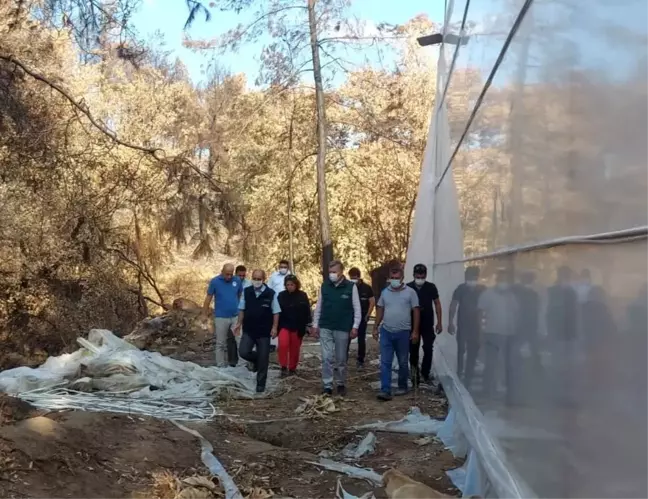 TARSİM'den Mersin, Antalya ve Muğla'ya ziyaret