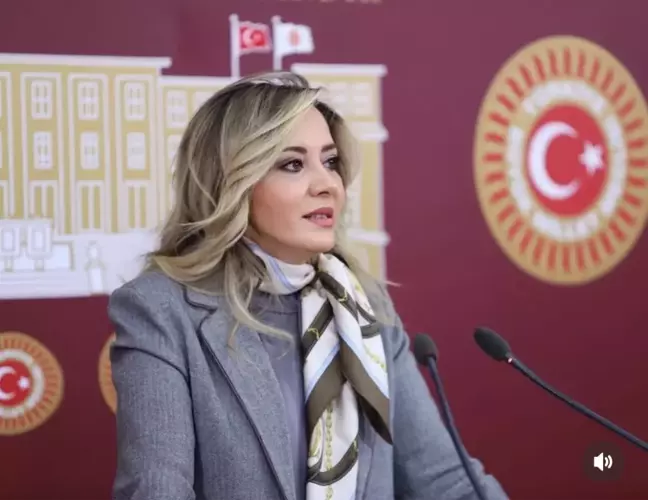 İYİ Parti Milletvekili Aylin Cesur Parti Üyeliğinden İstifa Etti