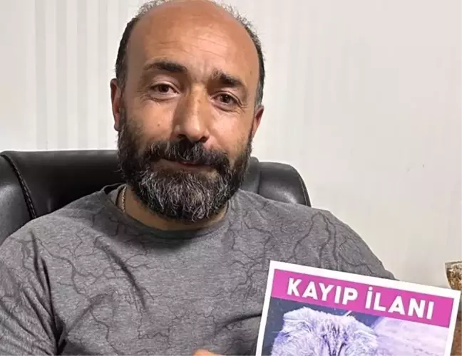 Malatya'da Kaybolan Kedi İçin 15 Bin TL Ödül