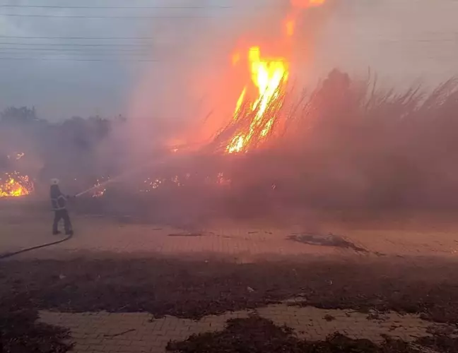 Hatay Kırıkhan'da Sazlık Alanda Yangın Çıktı