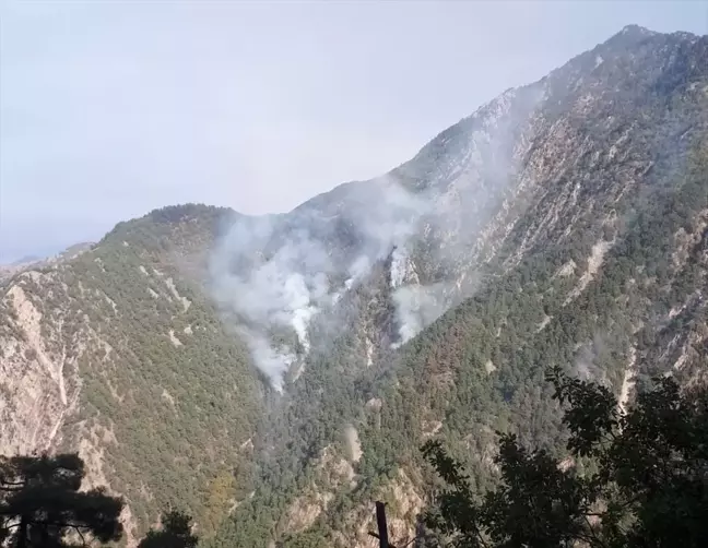 Kahramanmaraş'taki Orman Yangınına Müdahale Devam Ediyor