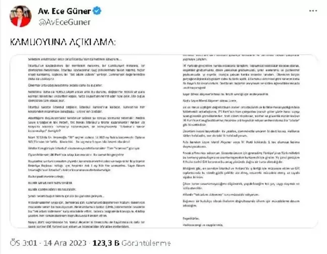 İYİ Parti Genel Başkan Yardımcısı Ece Güner İstifa Etti