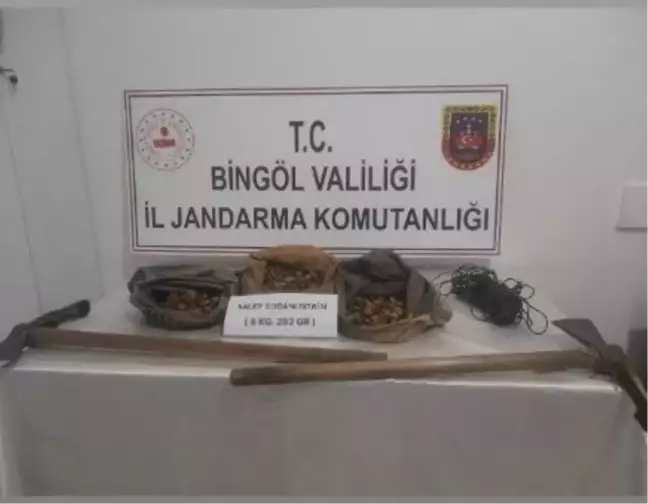 Bingöl'de Yasa Dışı Salep Toplayanlara 1 Milyon TL Cezası