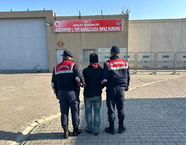 Gaziantep'te zeytin hırsızlığı şüphelisi tutuklandı