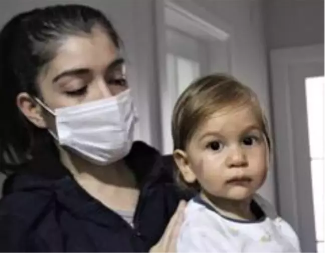 20 köpek saldırdı...1 yaşındaki bebeğe büyük şok...