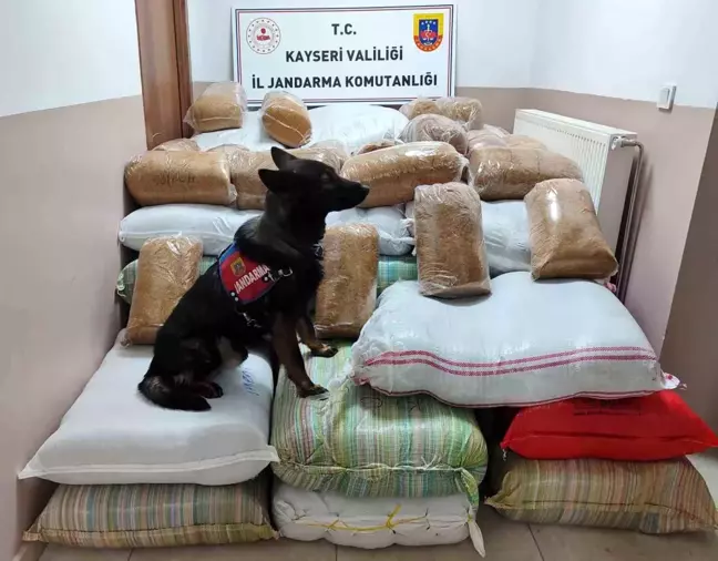 Kayseri'de İki Otobüste 1.5 Ton Kaçak Tütün Ele Geçirildi
