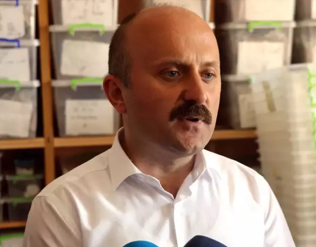 Oluz Höyük'te 2 Bin 500 Yıllık Pers Sarayı Bulundu