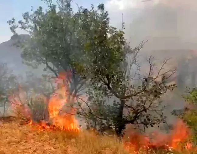 Mardin'in Yeşilli ilçesinde çıkan yangın kontrol altına alındı