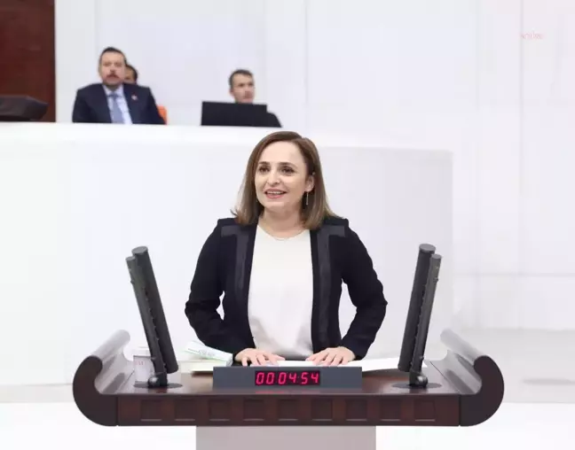 Yeşil Sol Partili Doğan'dan Bakan Tunç'a: