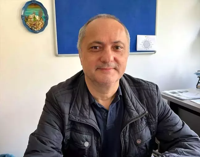 Karadeniz'de Yoğun Denizanası Varlığı