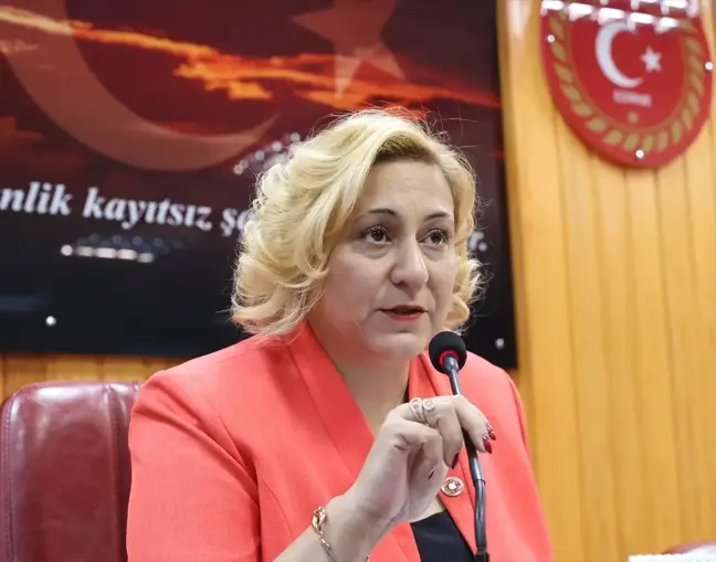 Çiğdem Gegeoğlu Edirne İl Genel Meclisi Başkanı Seçildi