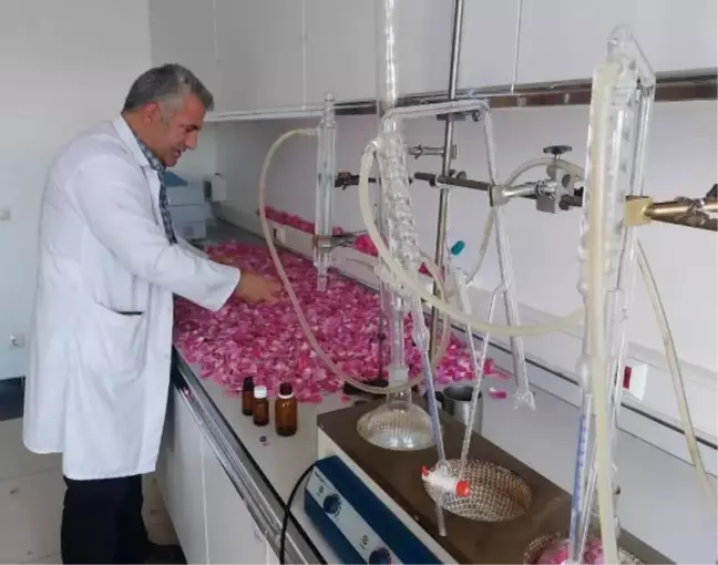 1100 rakımda toplanan bitkiler kozmetik ürünlere dönüştürülüyor