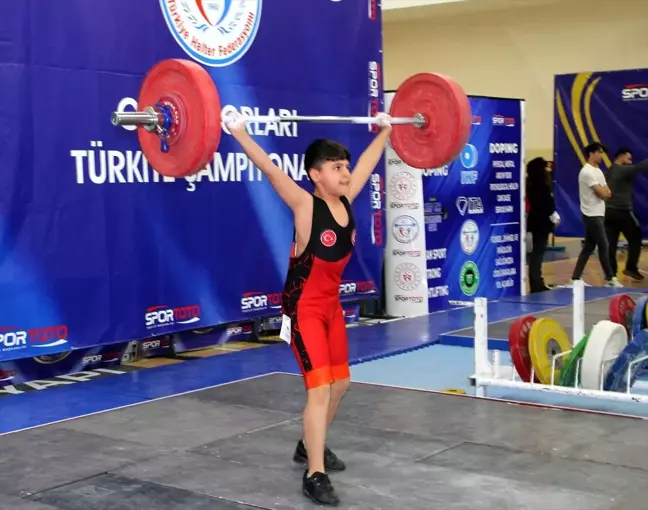 Halter Yıldızlar Türkiye Şampiyonası Sinop'ta Başladı