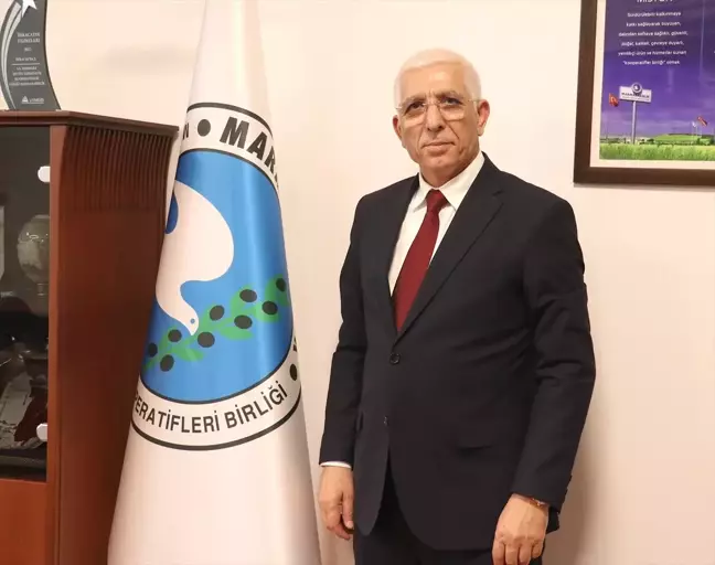 Marmarabirlik 2024-2025 Kampanya Döneminde Hedefe Ulaşmayı Bekliyor