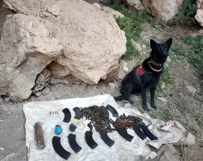 Bahçesaray'da patlayıcı ve mühimmat ele geçirildi