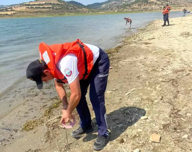 Manisa 3. sayfa haberi: Manisa'da jandarma kaçak avcılara geçit vermedi
