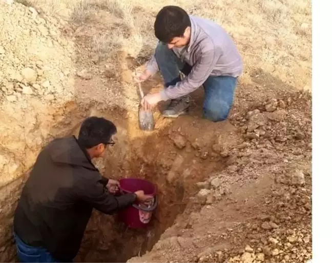 Şaphane'de ceviz dikimi öncesi toprak analizi için numune alımı