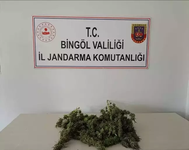 Bingöl'de Uyuşturucu Operasyonu: 1 Kilo 930 Gram Esrar ve 180 Kök Hint Keneviri Ele Geçirildi