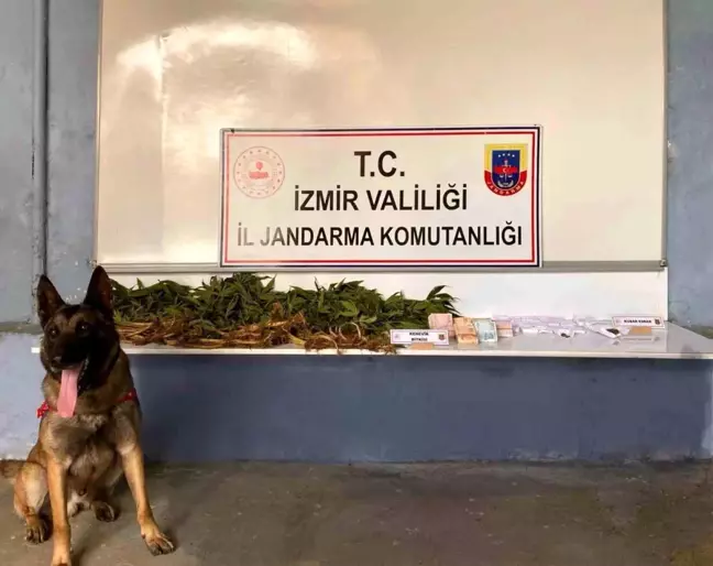 İzmir'de Uyuşturucu Ticareti Operasyonu