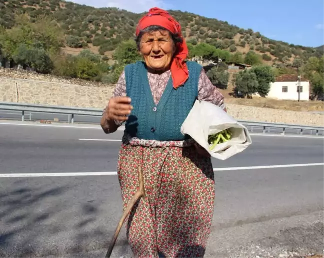 Gülsüm Nine'nin Yaşam Azmi