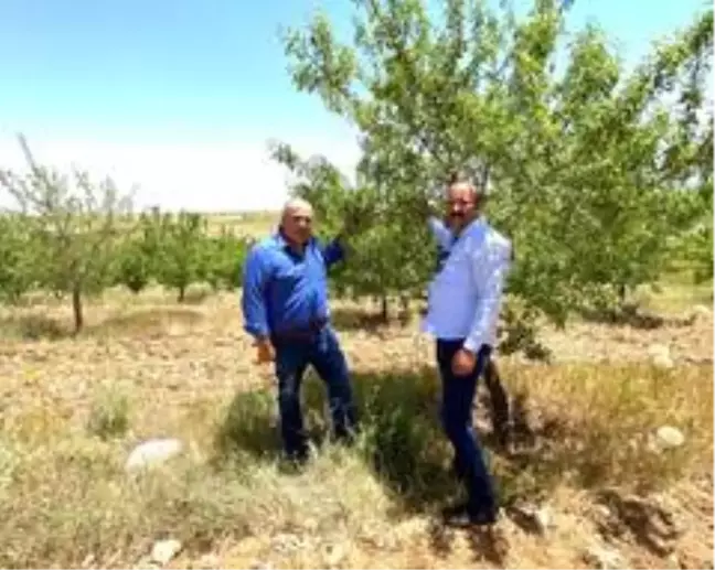 Son dakika haberi... Bayram: