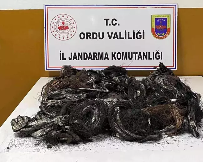 Ordu'da telefon kablosu hırsızları tutuklandı