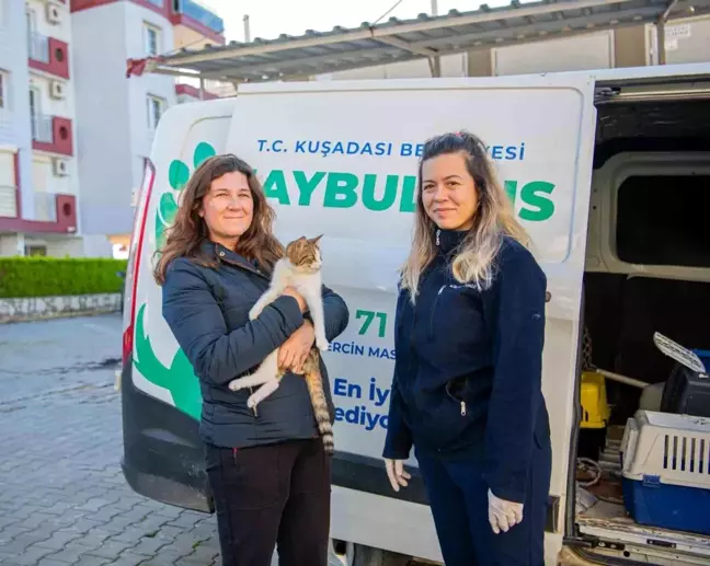 Kuşadası Belediyesi Haybulans Araçlarıyla Sokak Hayvanlarına Yardım Ediyor