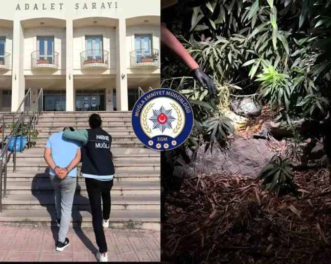 Muğla'da Ormanlık Alanda Uyuşturucu Saklayan 2 Şahıs Yakalandı