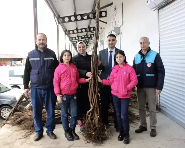 Osmaneli'de Çiftçilere Yüzde 50 Destekli Ceviz ve Badem Fidanı Dağıtıldı