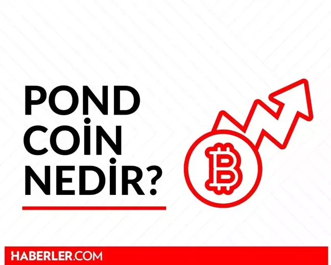 POND Coin nedir? Güncel Marlin (POND) Coin yorum ve grafiği