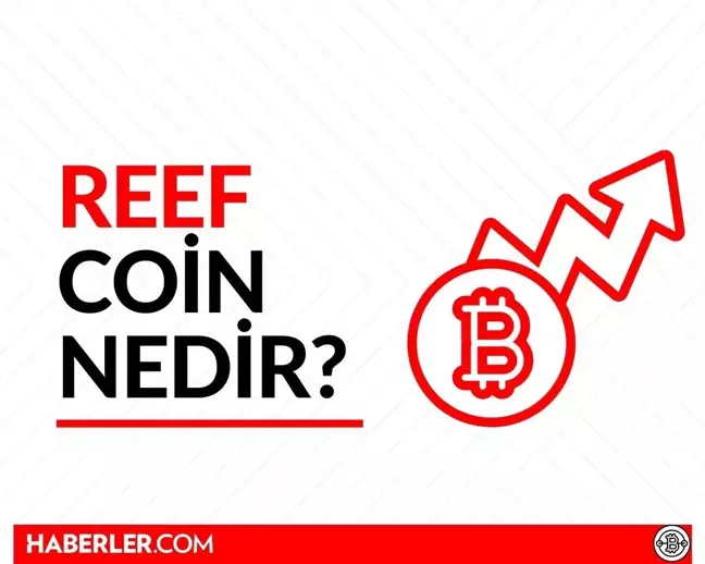 Reef Coin nedir, Paribu'da ne zaman çıktı? Reef Coin yorum ve grafiği