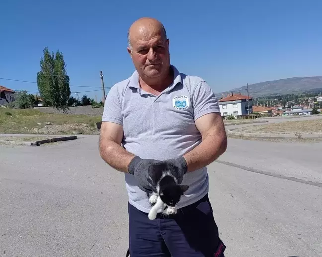 Şarkışla'da Mahsur Kalan Kedi Yavrusu İtfaiye Tarafından Kurtarıldı