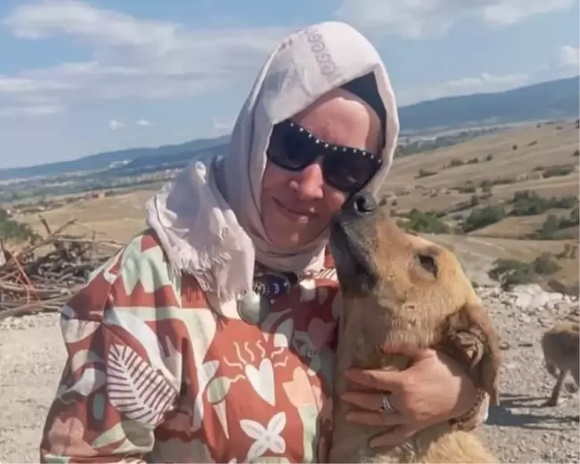 Sokak köpeklerini beslemek için yola çıkan kadın hayatını kaybetti