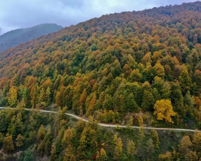 Bolu Dağı Tüneli'nde Sonbahar Güzellikleri