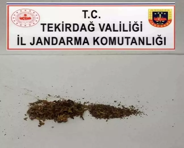 Tekirdağ'da Uyuşturucu Operasyonları: 5 Gözaltı