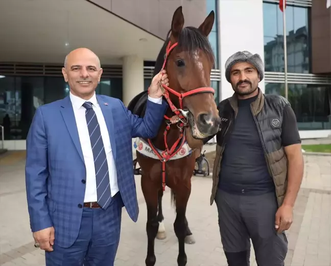 Körfez Belediye Başkanı Şener Söğüt'e atlı ziyaret