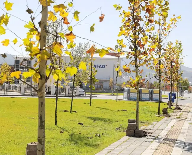 BAŞKANIMIZ BİLGİN, 5 BİNİNCİ AĞACI TOPRAKLA BULUŞTURDU...