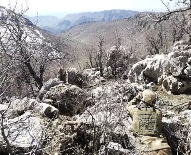 Mardin'de güvenlik güçlerine el bombası atma hazırlığında olan terörist etkisiz hale getirildi