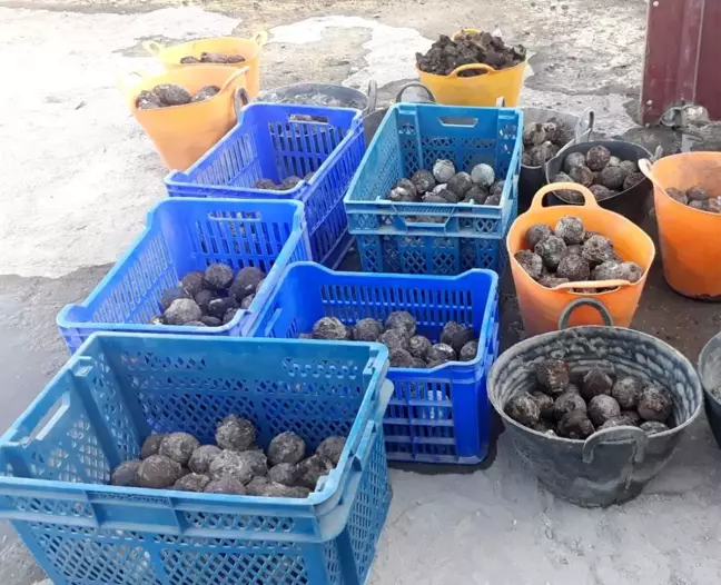 Son dakika haberi... Diyarbakır'da Osmanlı dönemine ait çok sayıda bomba bulundu