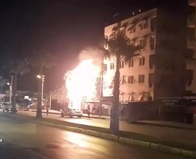 Alev alev yanan palmiye ağacı mahalleliyi korkuttu