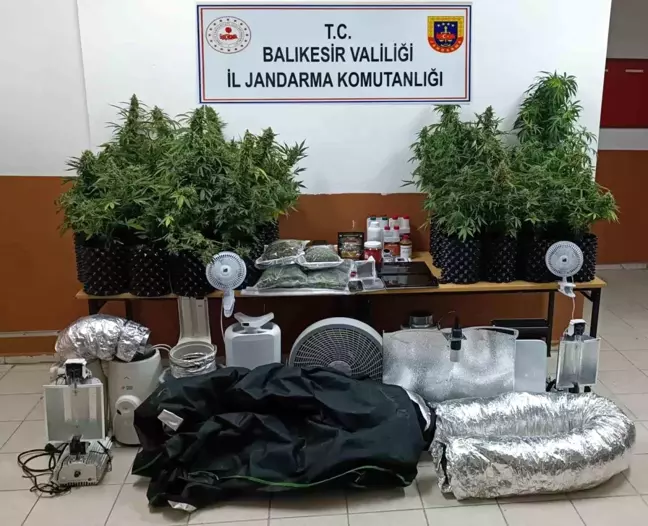 Balıkesir'de villa içinde uyuşturucu skunk bitkisi yetiştiren kişi yakalandı