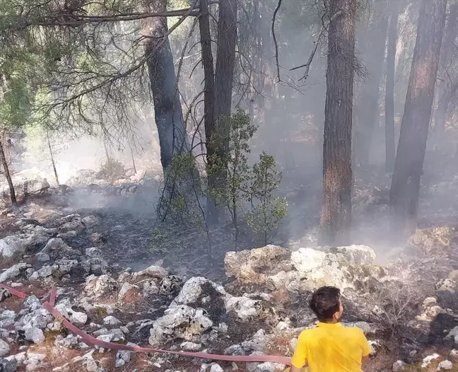 Burdur'da çıkan orman yangını söndürüldü